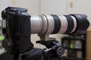 Canon EF 70-200mm f/2.8L IS II USM with a Canon 2x EF Extender III (Teleconverter) mounted on a Canon Rebel T4i / 650D body