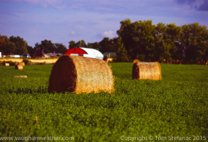 Hay bales in a green field during the long summer days of August – Fujichrome Velvia 100